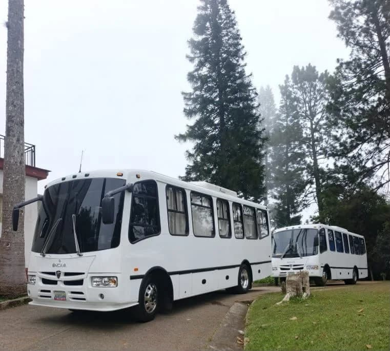 MINI PULLMAN